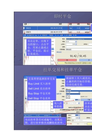 外汇交易手册2