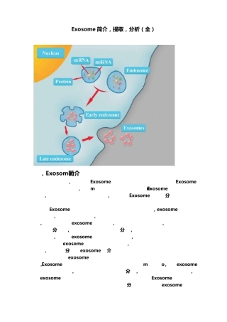 外泌体Exosome