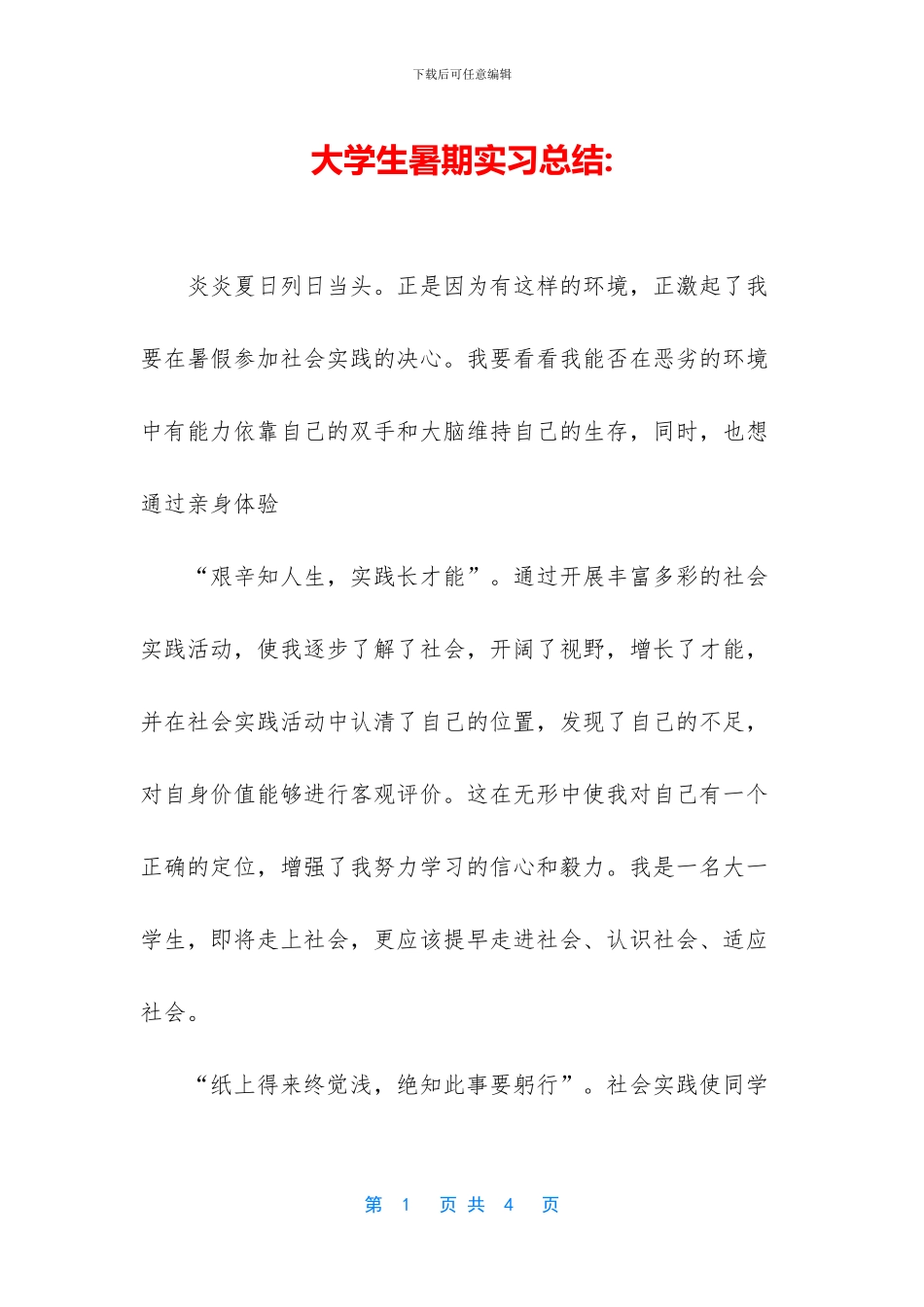 大学生暑期实习总结-(1)_第1页