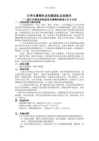 大学生暑期社会实践团队总结报告