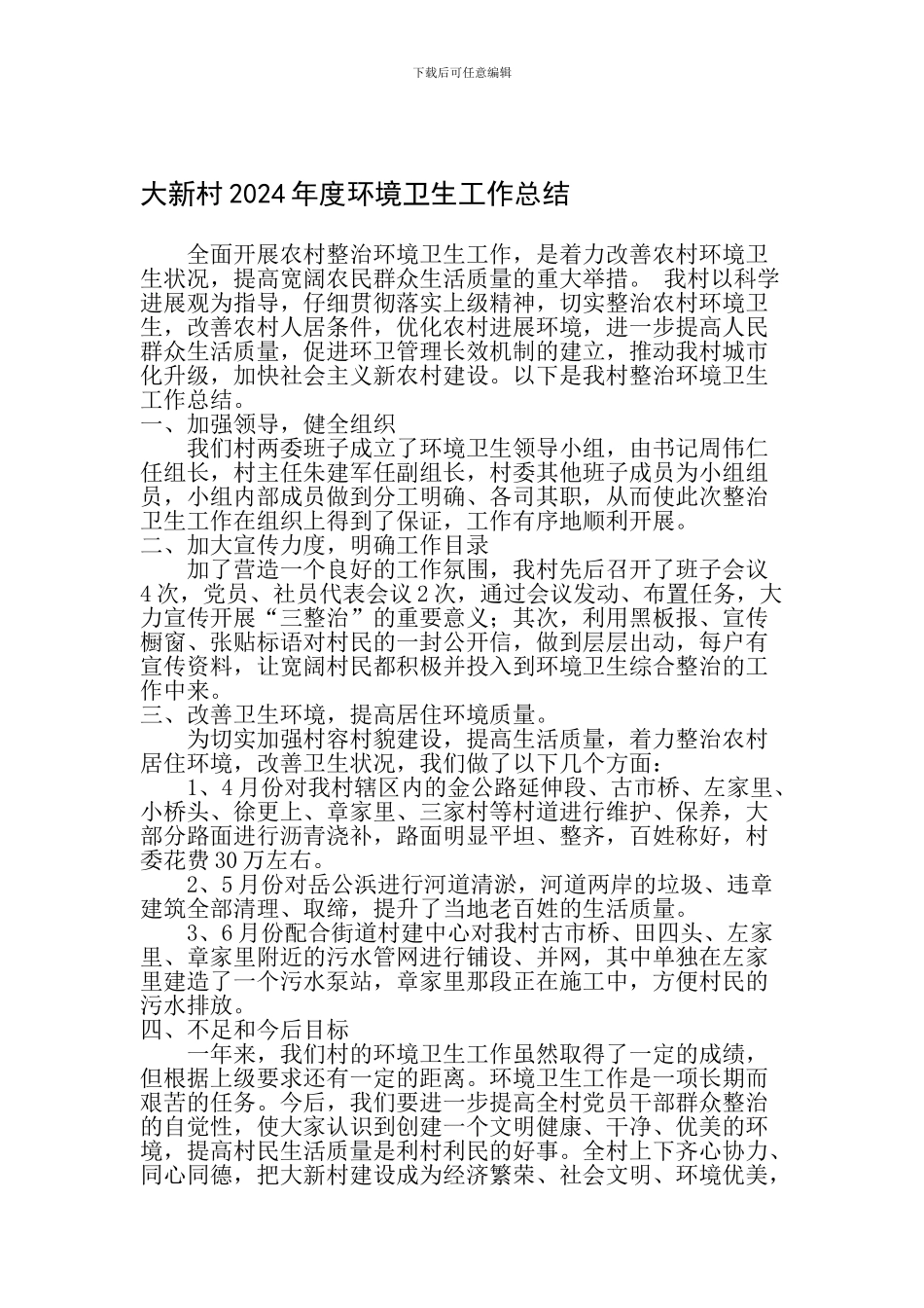 大新村2024年度环境卫生工作总结_第1页