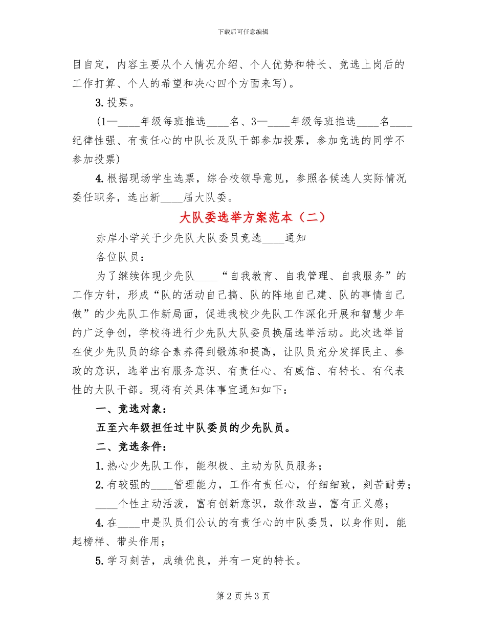 大队委选举方案范本_第2页