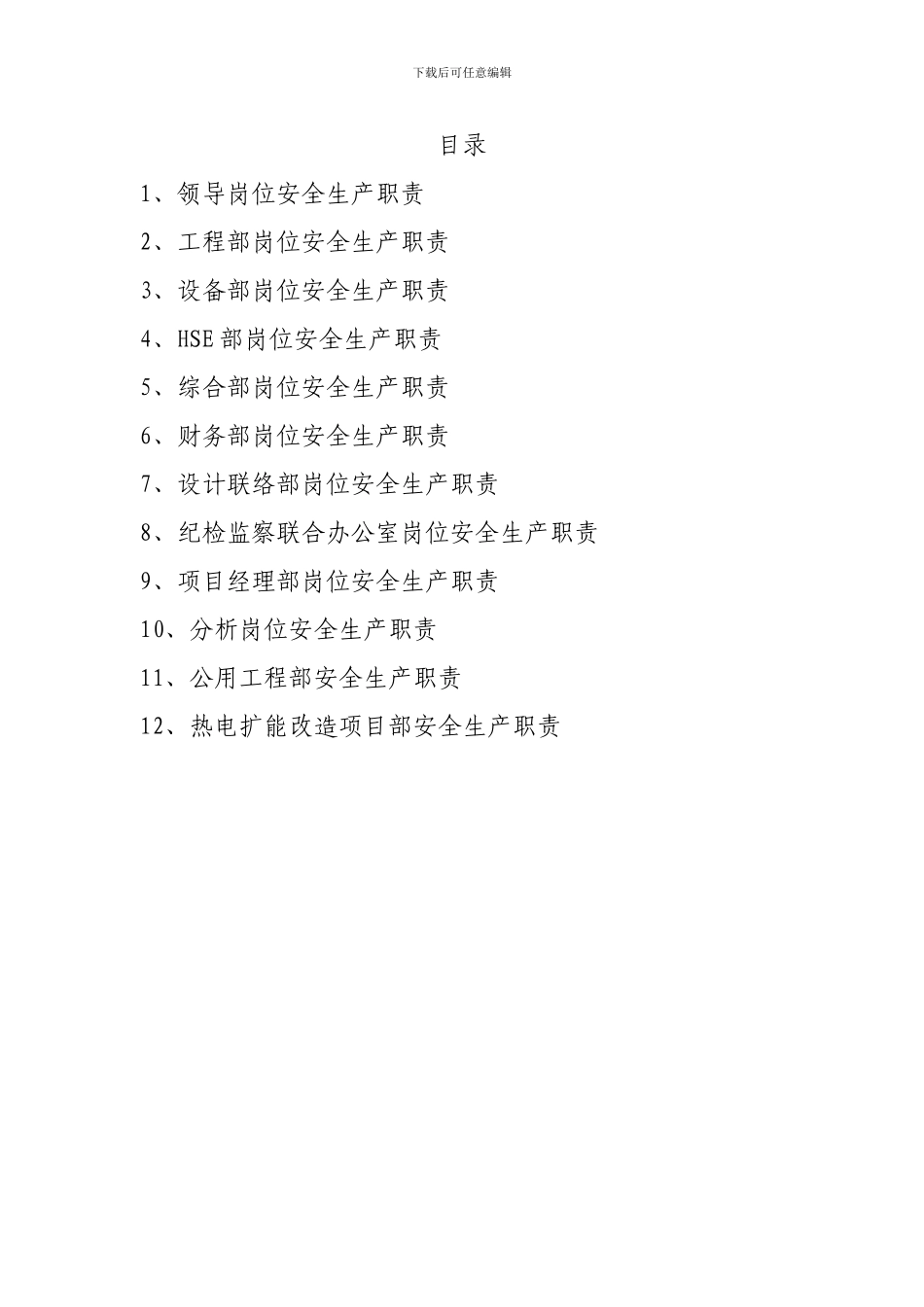 大项目办各部门安全生产责任制._第2页