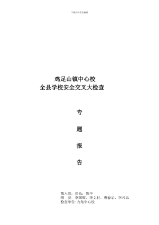 安全交叉检查专题汇报.