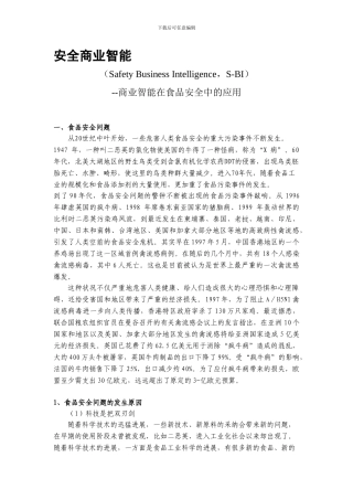 安全商业智能.