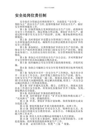 安全处岗位责任制.