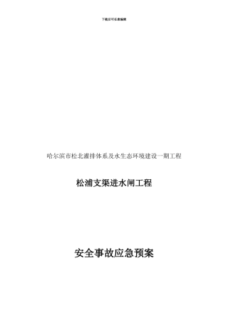 安全应急预桉.