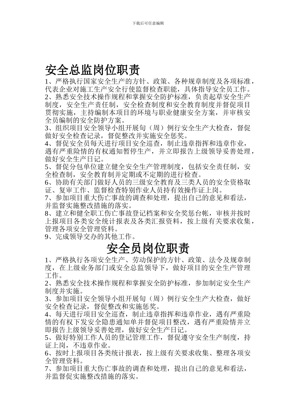 安全总监岗位职责_第1页