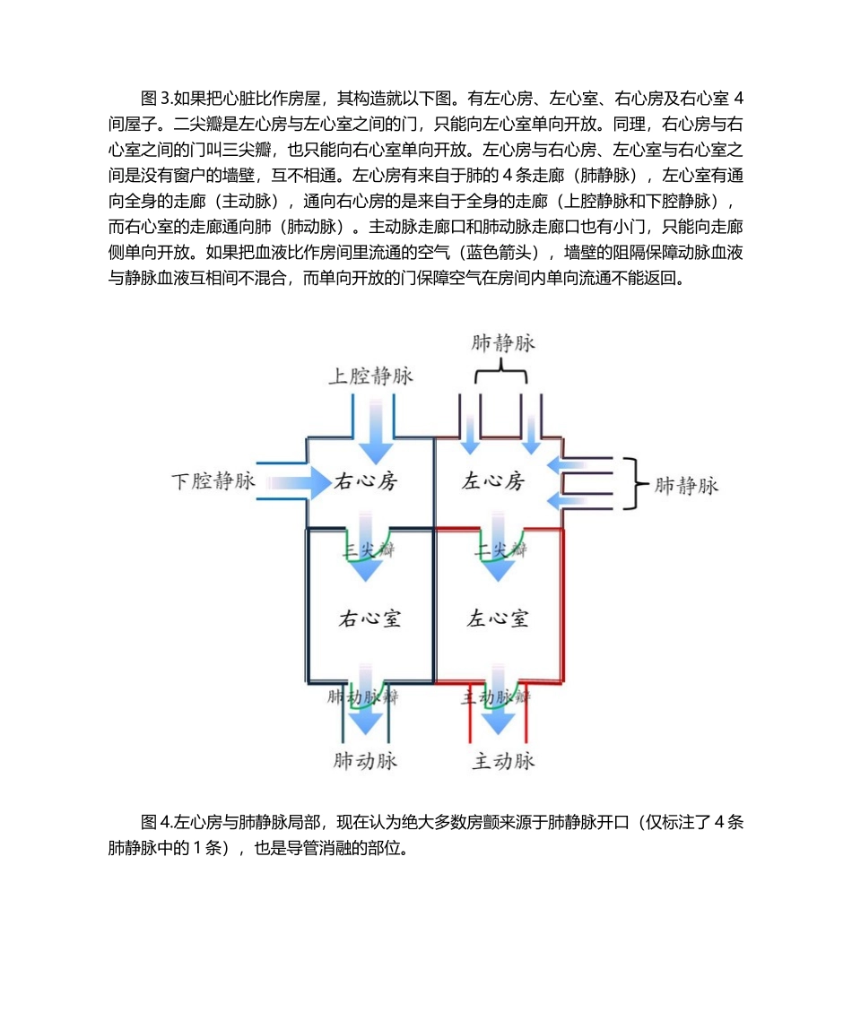 2025年图说房颤导管射频消融术_第3页