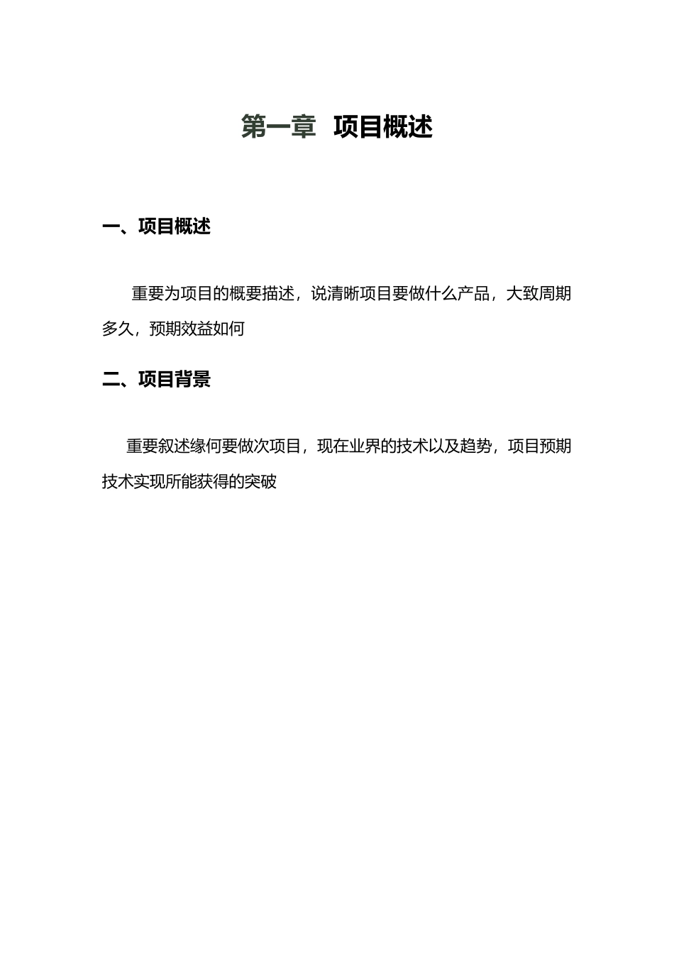 2025年项目立项报告模板_第3页