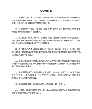 2025年安全责任书