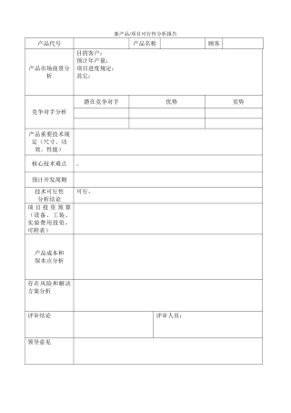 2025年新产品项目可行性分析报告