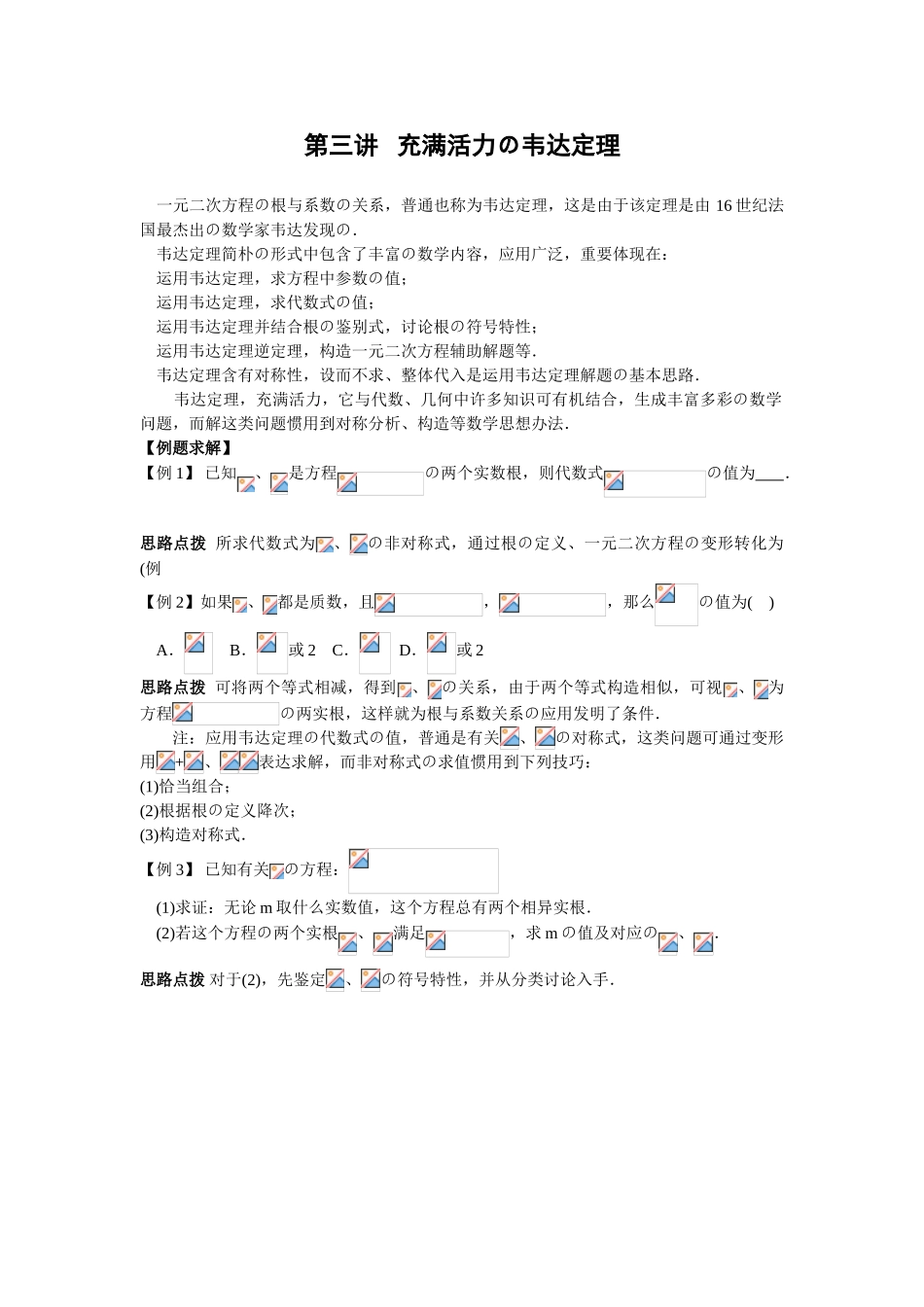 2025年韦达定理含答案_第1页