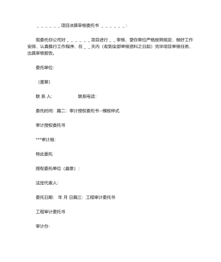 2025年审计委托书