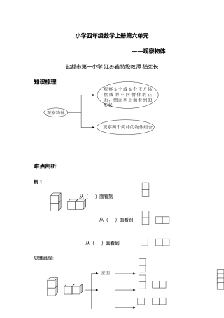 2025年苏教版观察物体试题