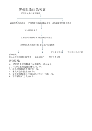 2025年脐带脱垂应急预案