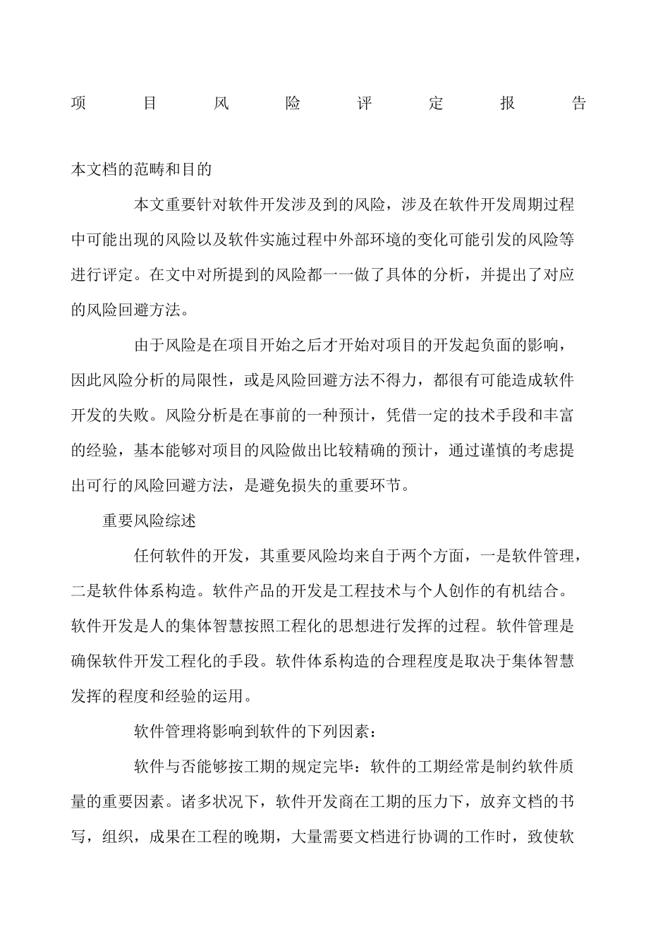 2025年项目风险评估报告_第1页