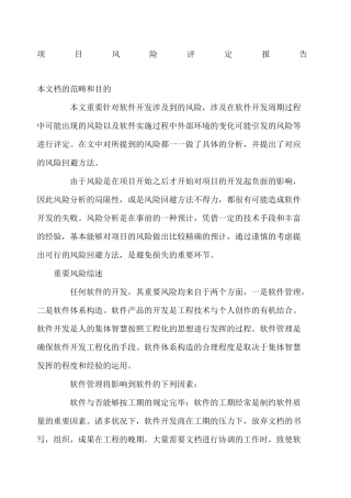 2025年项目风险评估报告