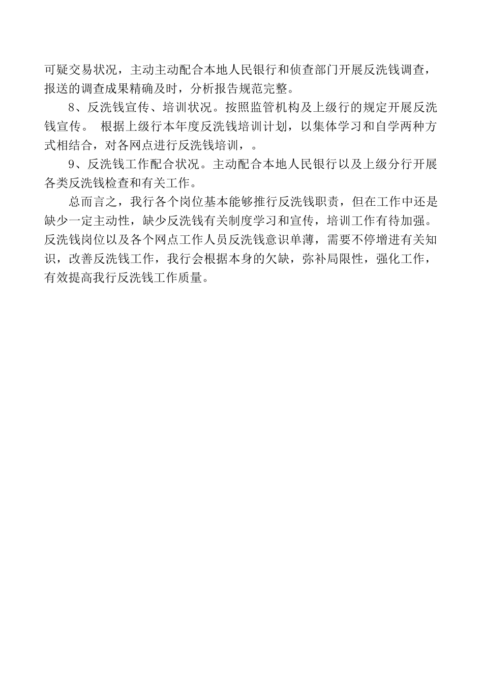 2025年反洗钱自查报告_第2页