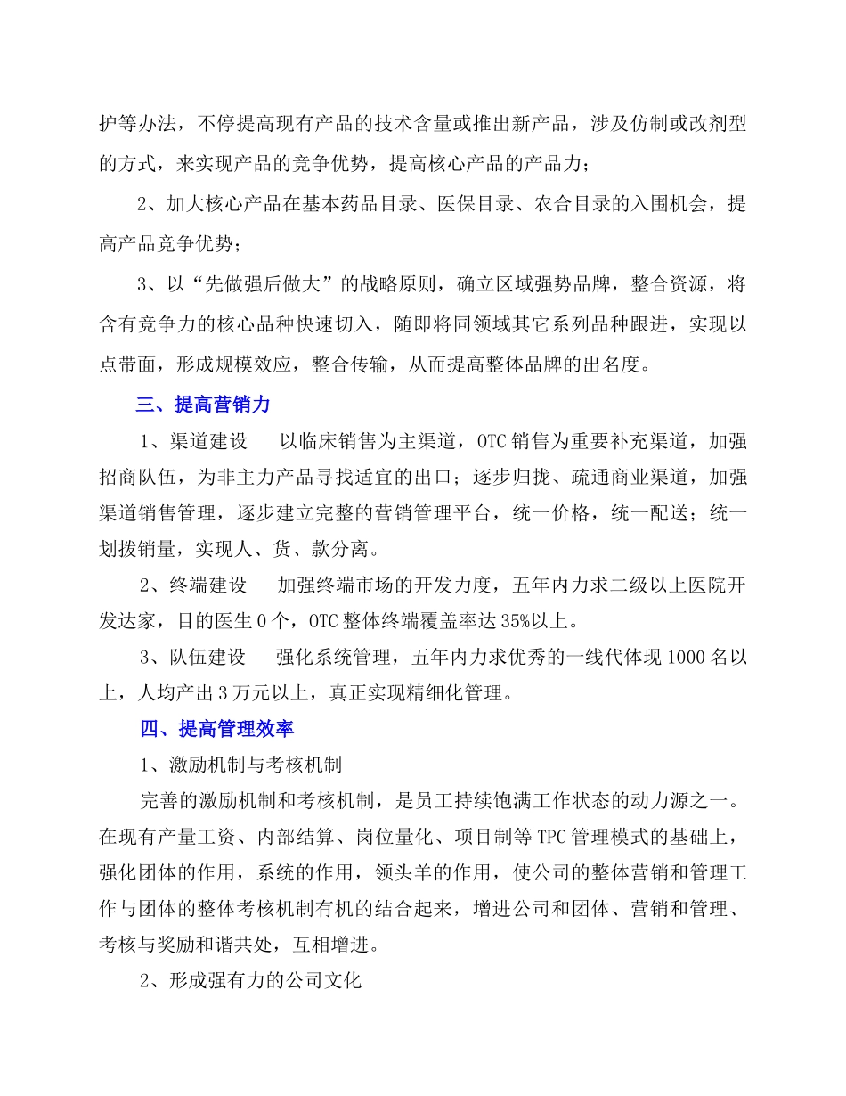 2025年五年战略规划_第2页