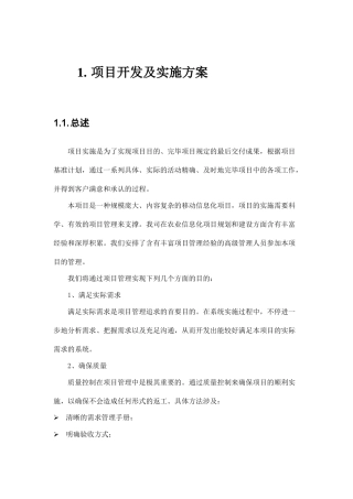 2025年项目开发及实施方案