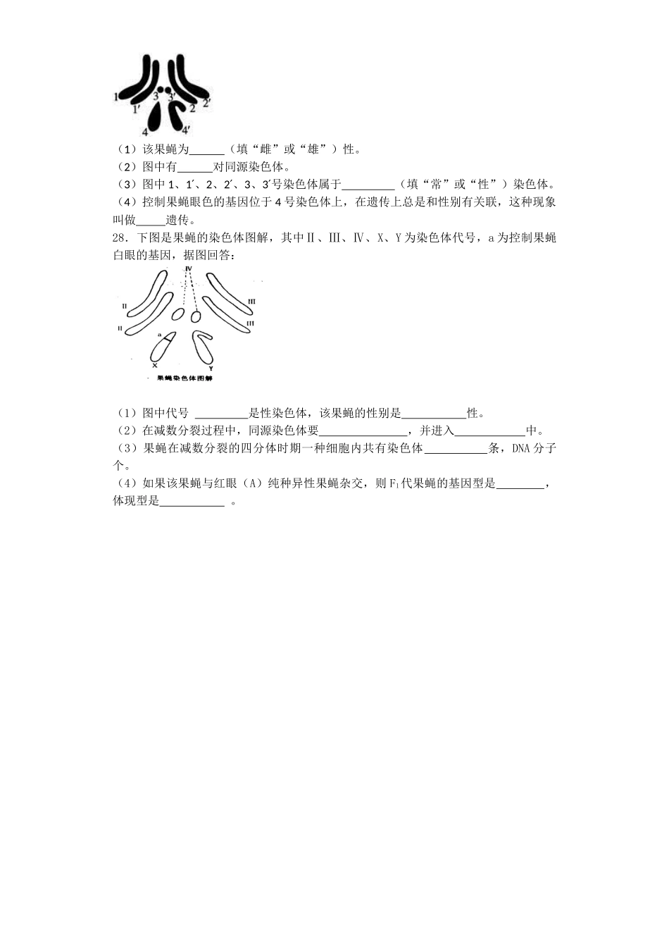 2025年遗传规律练习题_第3页