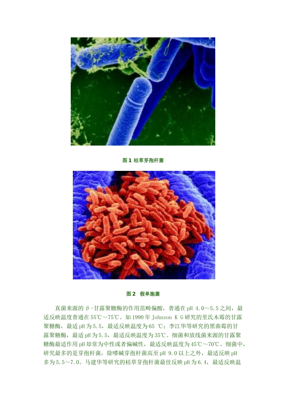 2025年新型酶制剂汇总_第3页