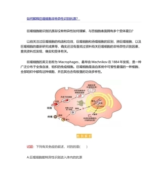 2025年如何解释巨噬细胞非特异性识别抗原