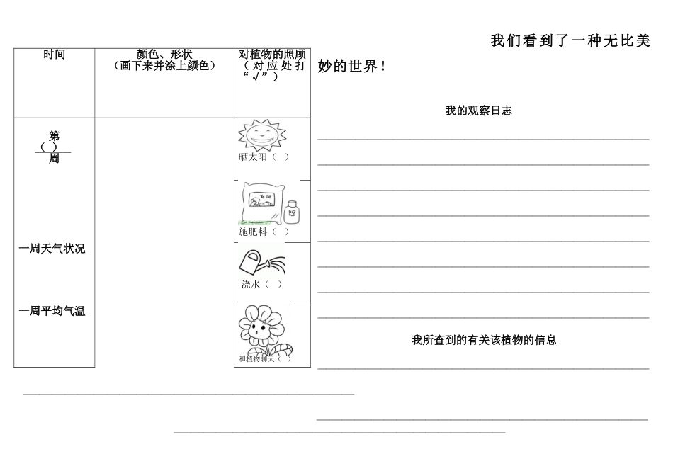 2025年小学植物生长观察记录表_第2页
