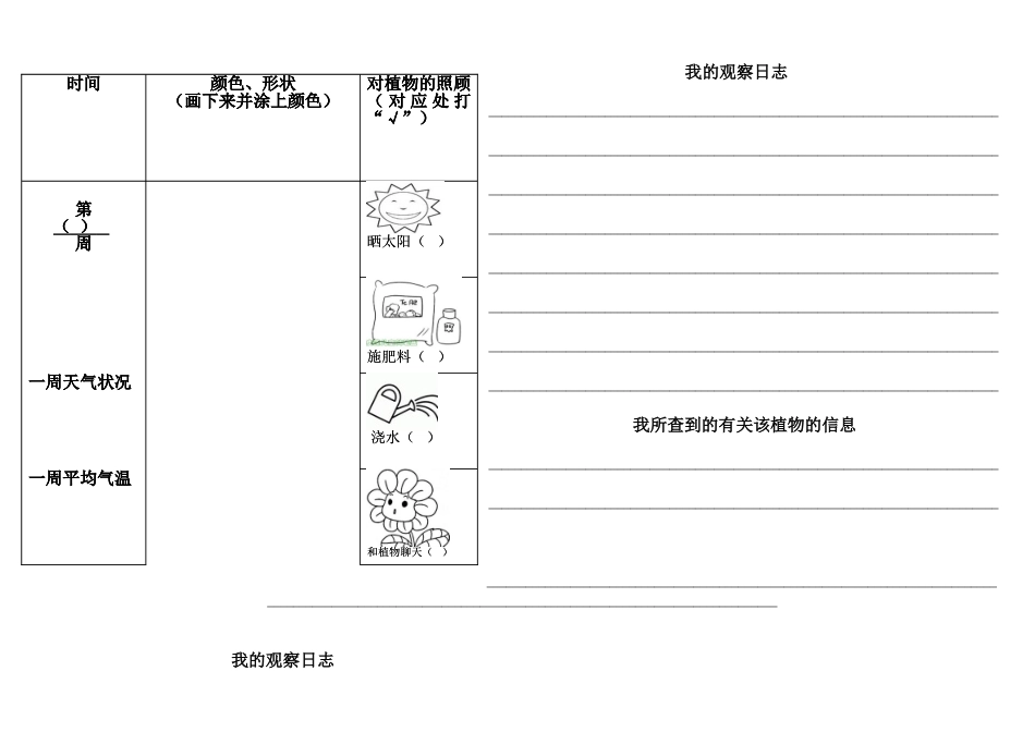 2025年小学植物生长观察记录表_第3页