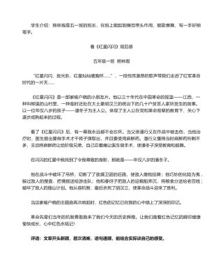 2025年看《闪闪的红星》观后感