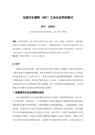 2025年垃圾衍生燃料RDF技术的工业化应用的探讨报告