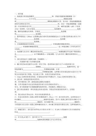 2025年生物化学蛋白质化学