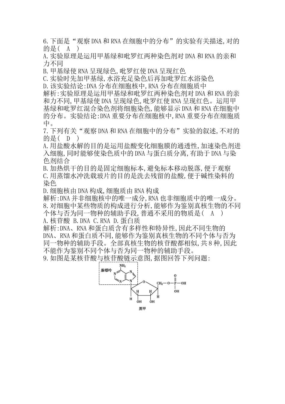 2025年遗传信息的携带者核酸习题_第2页