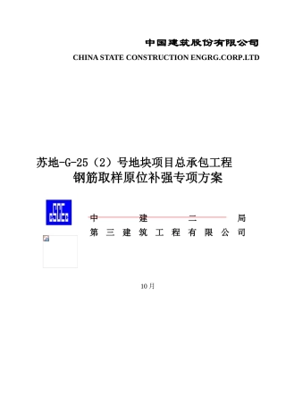 2025年钢筋取样原位补强专项方案