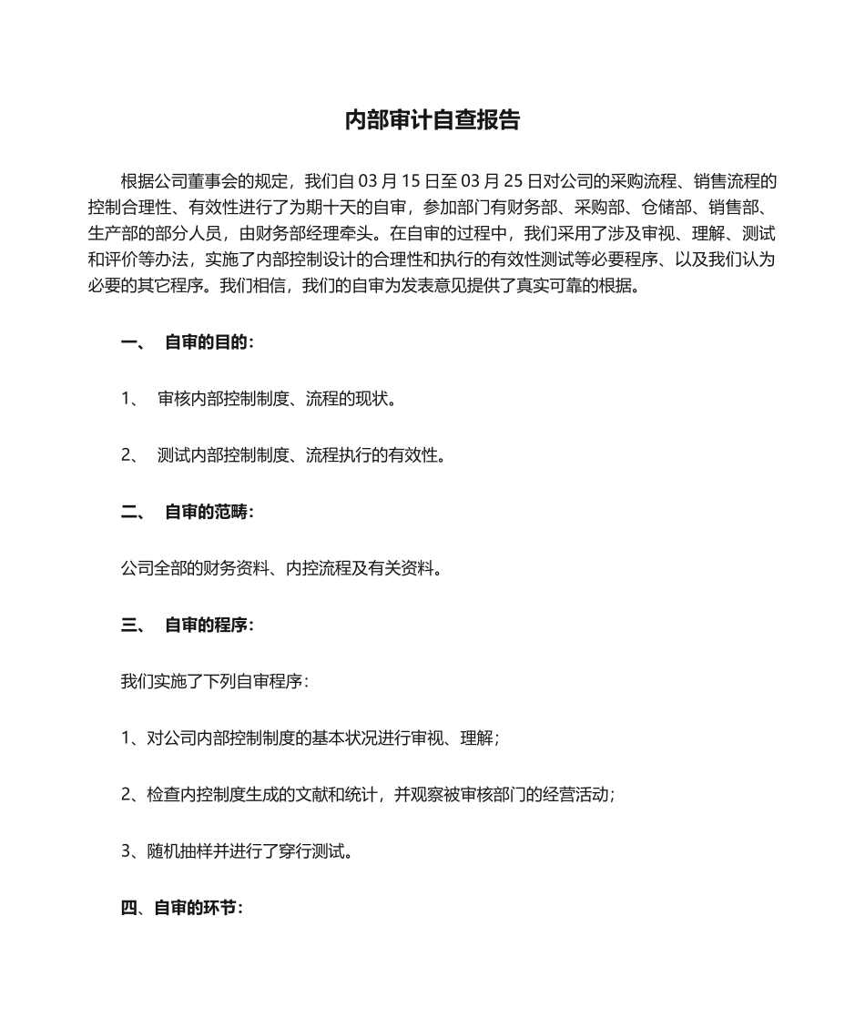 2025年内部审计自查报告_第1页