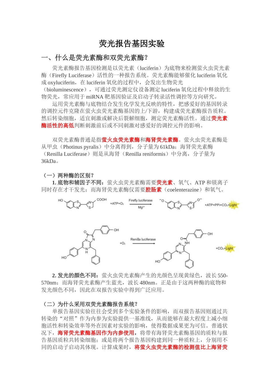 2025年荧光报告基因实验_第1页