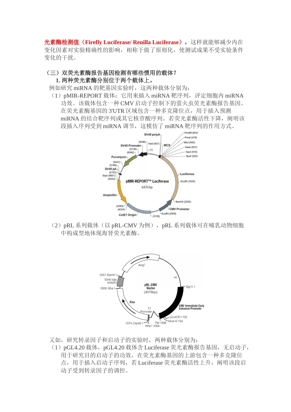 2025年荧光报告基因实验_第2页