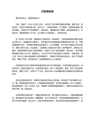2025年红岩读后感