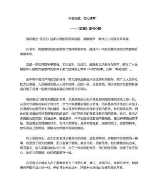 2025年红日 读书心得