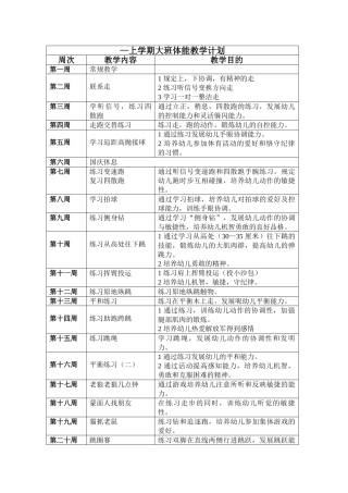 2025年幼儿园体能教学计划