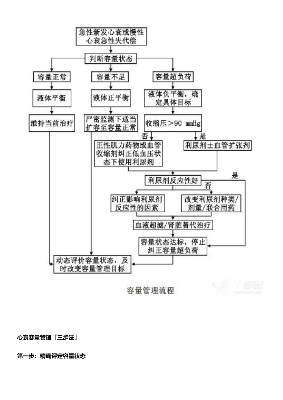2025年心衰容量管理三步法_第2页