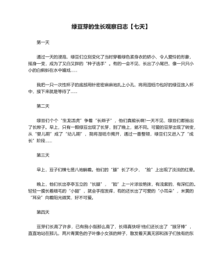 2025年绿豆芽的生长观察日记七天