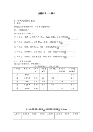 2025年桩基础设计计算书