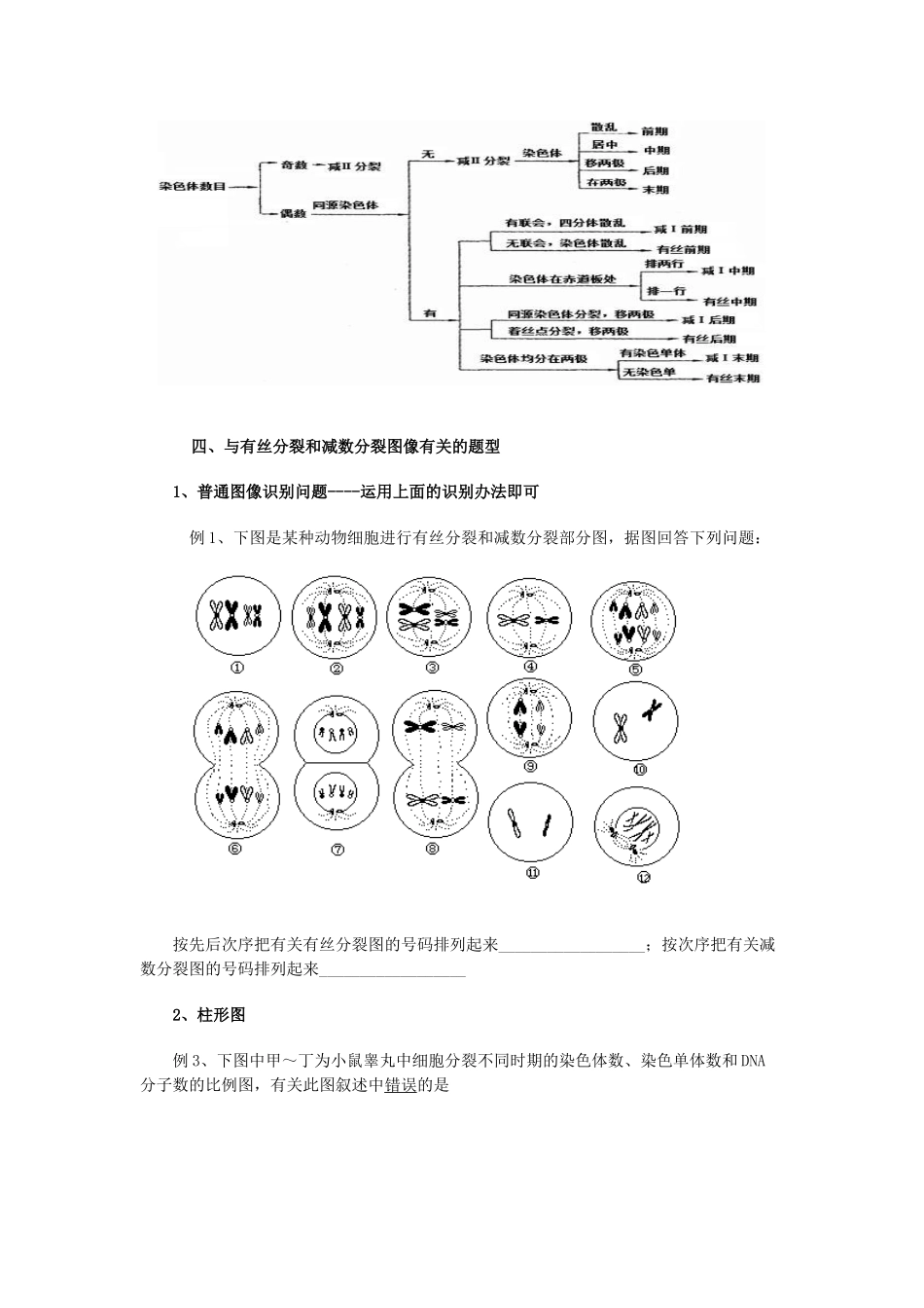 2025年有丝分裂和减数分裂区别_第3页