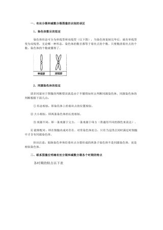 2025年有丝分裂和减数分裂区别