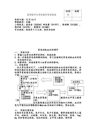2025年家兔动脉血压的调节