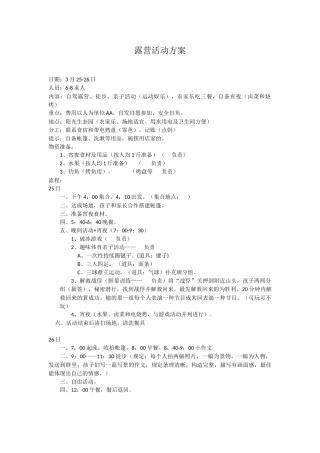 2025年露营活动方案
