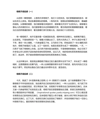 2025年梧桐子读后感