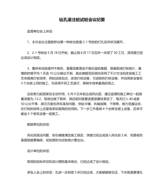 2025年钻孔灌注桩试桩会议纪要